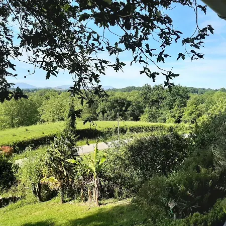 Grande Maison Avec Piscine A Urt, Proche De Bayonne - Fr-1-239-653